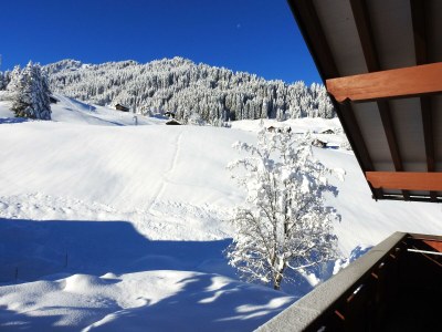 Apartment Ferienwohnung Schlössle , 1 Schlafzimmer - Outdoor photo 47
