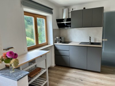 Apartment Ferienwohnung OG mit 1 Schlafraum - Features photo 45