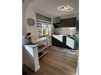 Apartment Ferienwohnung OG mit 1 Schlafraum - Features photo 46