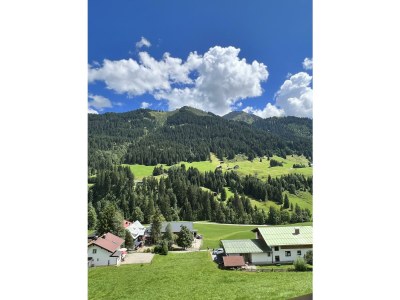 Apartment Ferienwohnung OG mit 1 Schlafraum - Features photo 65