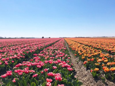 Holiday house De Keizerskroon 35 - Environment photo 25