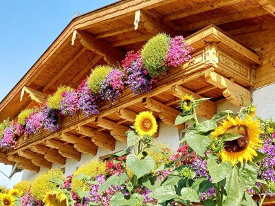 Apartment Holiday on an organic farm near ski slopes - Outdoor photo 7