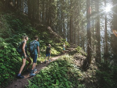 Apartment Holiday on an organic farm near ski slopes - Environment photo 19
