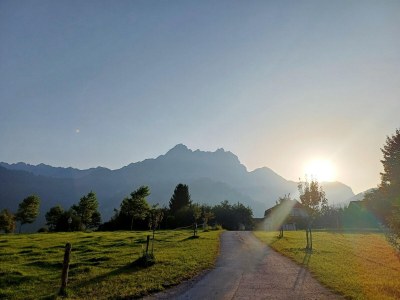 Apartment Holiday on an organic farm near ski slopes - Environment photo 30