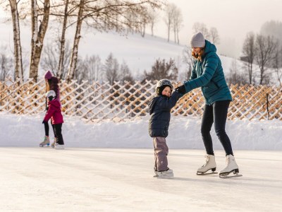 Apartment Holiday on an organic farm near ski slopes - Environment photo 33
