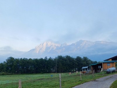 Apartment Holiday on an organic farm near ski slopes - Environment photo 37