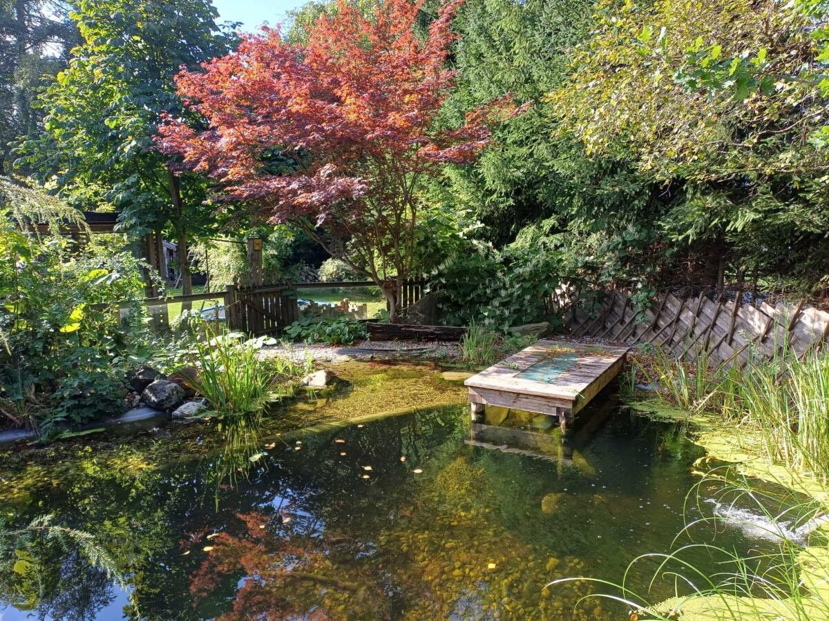 Holiday house Chalet in Saalfelden near Ski Slopes - Outdoor photo 3