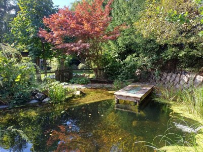Holiday house Chalet in Saalfelden near Ski Slopes - Outdoor photo 3