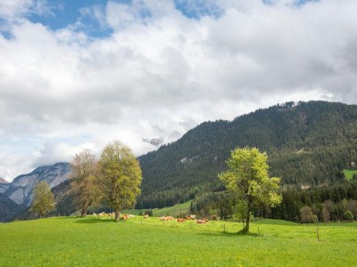 Holiday house Chalet in Saalfelden near Ski Slopes - Environment photo 34