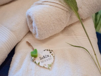 Holiday house Chalet in Saalfelden near Ski Slopes - Outdoor photo 38