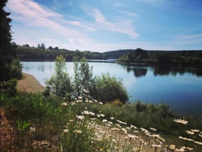 Villa Villa in Puget-sur-Argens mit Pool & Garten - Environment photo 34