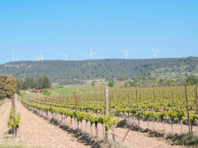 Villa Peaceful Poolside Escape - Environment photo 28