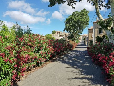 Villa Peaceful Poolside Escape - Environment photo 36