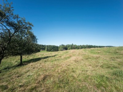 Holiday house Haus in Vogesen nahe Cascades du Gerhard - Outdoor photo 4