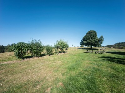 Holiday house Haus in Vogesen nahe Cascades du Gerhard - Outdoor photo 5