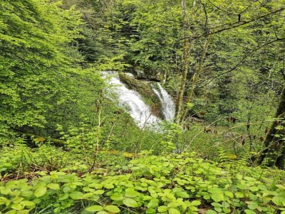 Holiday house Haus in Vogesen nahe Cascades du Gerhard - Environment photo 32