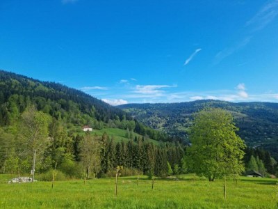 Holiday house Haus in Vogesen nahe Cascades du Gerhard - Environment photo 37