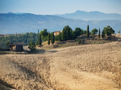 Farmhouse Rustic Tuscan Farmhouse - Outdoor photo 6