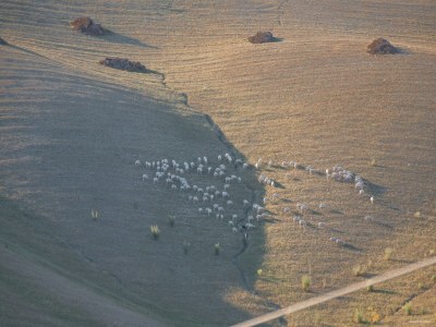 Farmhouse Rustic Tuscan Farmhouse - Outdoor photo 15