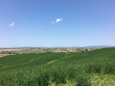 Farmhouse Rustic Tuscan Farmhouse - Outdoor photo 18