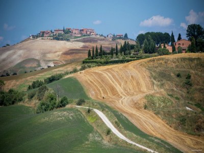 Farmhouse Rustic Tuscan Farmhouse - Environment photo 34