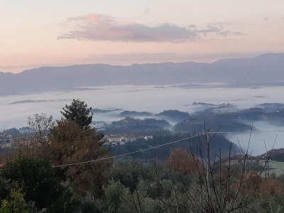 Farmhouse Rustic Tuscan Farmhouse - Environment photo 35