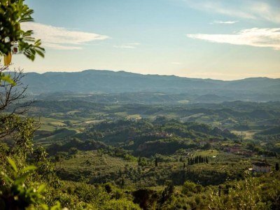 Farmhouse Rustic Tuscan Farmhouse - Environment photo 37