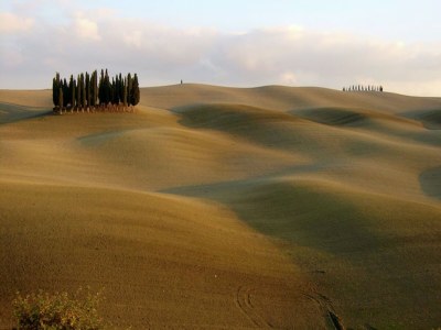 Farmhouse Geräumiges toskanisches Bauernhaus - Environment photo 36