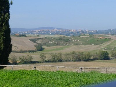 Farmhouse Geräumiges toskanisches Bauernhaus - Environment photo 37