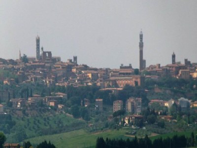 Farmhouse Geräumiges toskanisches Bauernhaus - Environment photo 39