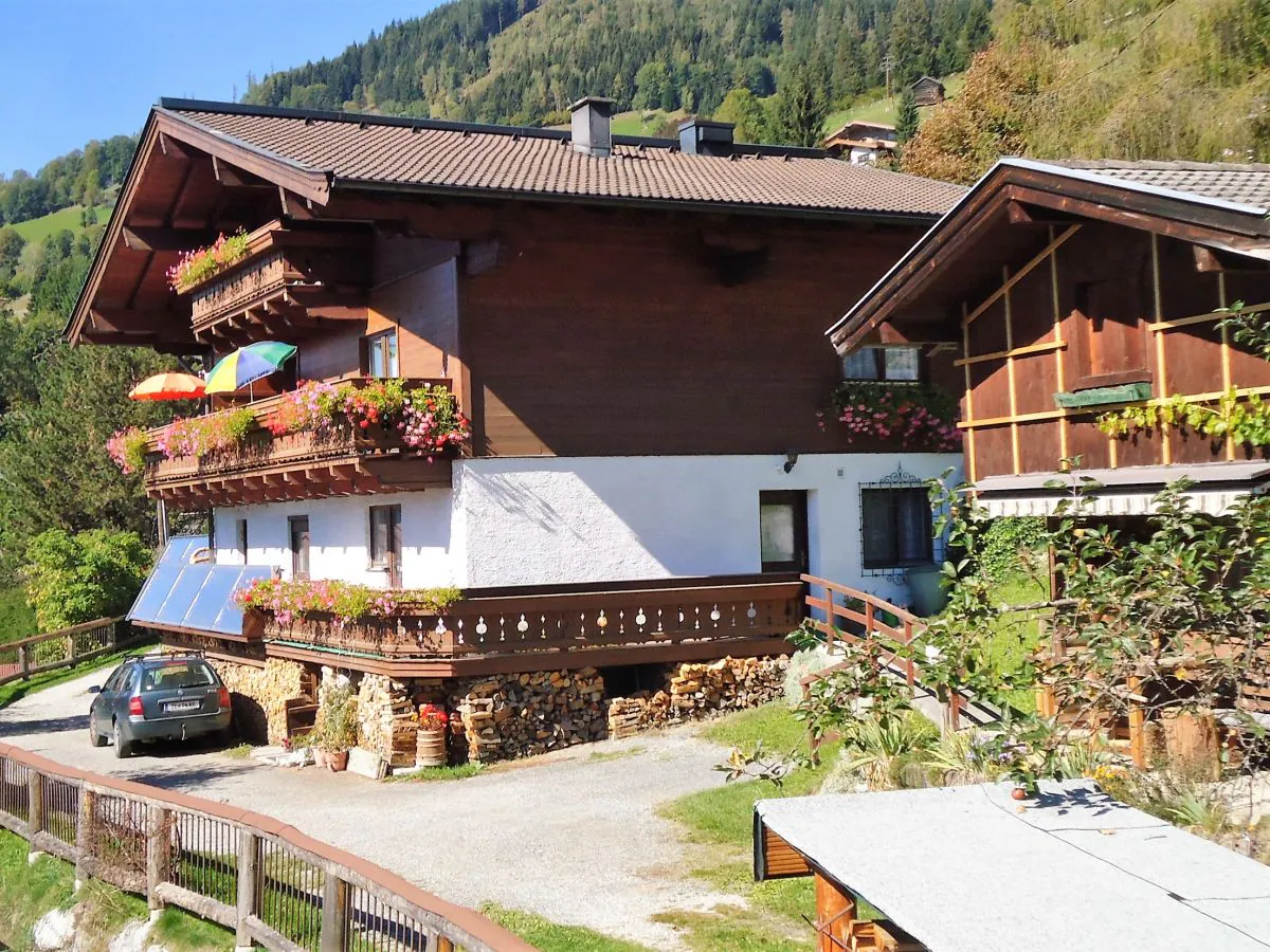 Apartment Enzian im Apartmenthaus Hofer