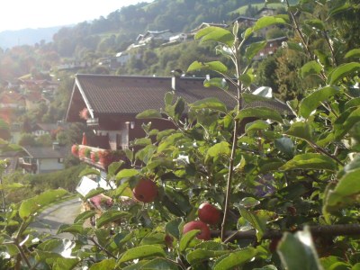 Apartment Enzian im Apartmenthaus Hofer - Outdoor photo 6