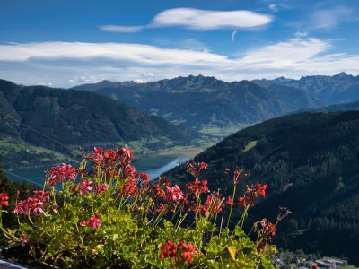 Apartment Enzian im Apartmenthaus Hofer - Environment photo 36