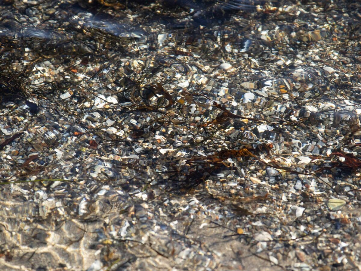 Holiday house 10 Personen Ferienhaus in Sjølund-By Traum - Outdoor photo 3