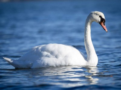 Holiday house 10 Personen Ferienhaus in Sjølund-By Traum - Outdoor photo 40