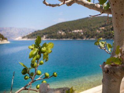 Holiday house Beautiful holiday home on the island Brac, with the sea and a small beach in front of the door! - Outdoor photo 24