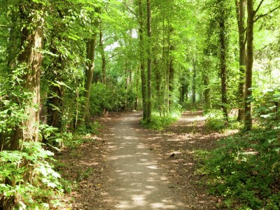 Holiday house Holiday Home in Huizen's charm - Outdoor photo 9