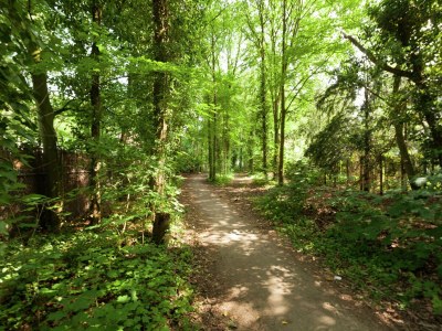 Holiday house Holiday Home in Huizen's charm - Outdoor photo 10