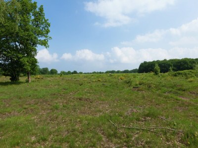 Holiday house Holiday Home in Huizen's charm - Environment photo 30