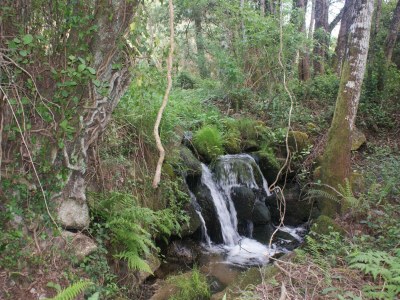 Holiday park Ferienhaus in Covas mit Pool und Natur - Outdoor photo 10