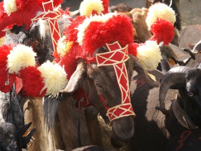 Holiday park Ferienhaus in Covas mit Pool und Natur - Environment photo 24