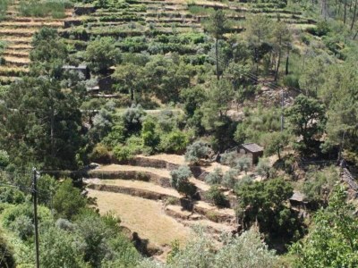 Holiday park Ferienhaus in Covas mit Pool und Natur - Environment photo 27