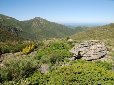 Holiday park Ferienhaus in Covas mit Pool und Natur - Environment photo 28