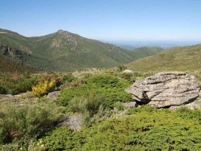 Holiday park Ferienhaus in Covas mit Pool und Natur - Environment photo 31