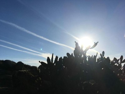 Holiday park Ferienhaus in Covas mit Pool und Natur - Environment photo 32