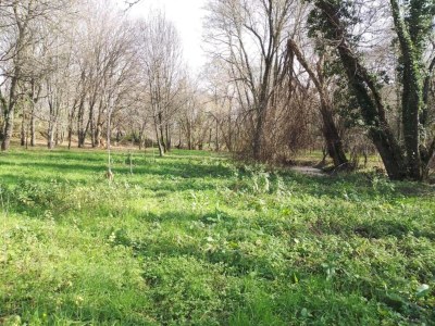 Holiday park Ferienhaus in Covas mit Pool und Natur - Environment photo 34