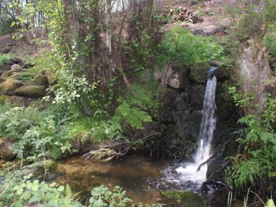 Holiday park Ferienhaus in Covas mit Pool und Natur - Environment photo 35