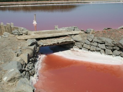 Holiday house Baie du Levant Nr. 19 - Environment photo 17