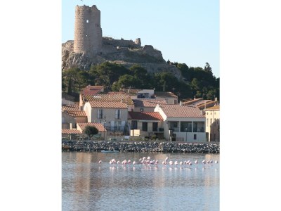 Holiday house Baie du Levant Nr. 19 - Environment photo 19