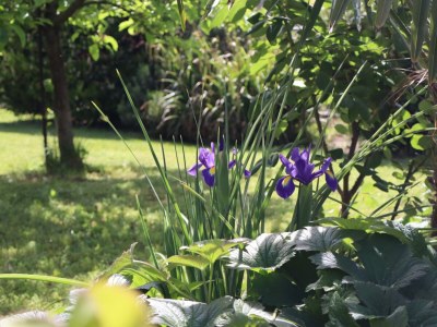 Holiday apartment No title - Outdoor photo 11